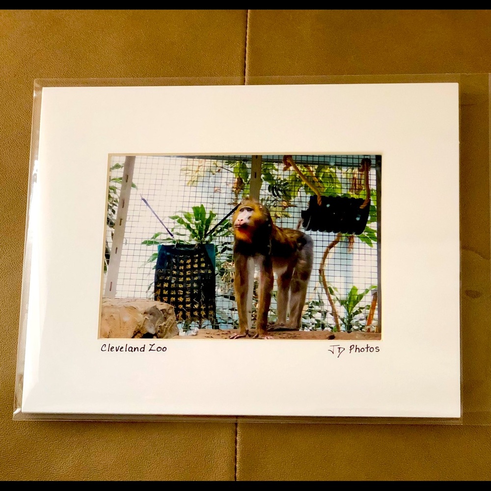 Matted Digital Photo: “Cleveland Zoo”